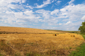 Obraz premium Beautiful landscape near Strazovice in the Czech Republic. Harvested grain in the field. Blue sky and clouds.