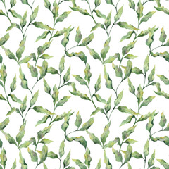 Watercolor pattern with realistic green twigs of leaves on a white background. Illustrations for fabrics, clothing, packaging, banners, postcards