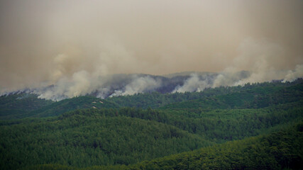 Wildfires in Milas, in Turkey