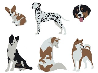 Collection of dogs on the white background