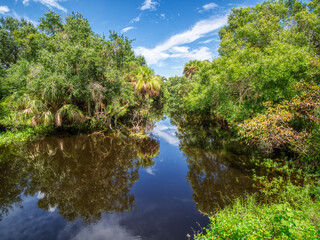 Fototapeta na wymiar Clay Gully in Myakka River State Park in Sarasota Florida USA