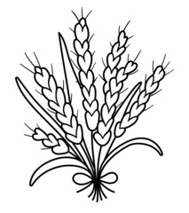 Vector black and white autumn cereals bouquet. Outline crop bunch. Line fall grain illustration isolated on white background.