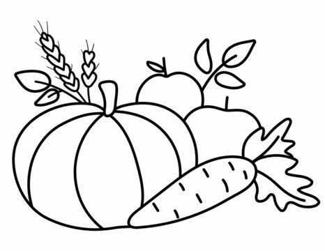 Vector Black And White Fruit And Vegetable Arrangement. Cute Line Horizontal Set With Apples, Pumpkin And Carrot. Autumn Garden Composition Clipart. Fall Season Harvest Outline Icon.