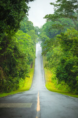 A straight steep road to entrance to Khao Yai national Park to see the beauty of the tropical forest in Khao Yai National Park. UNESCO World Heritage Area, Unseen Thailand.