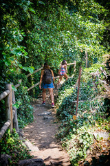 Unrecognizable People Doing An Excursion In The Middle Of Nature. Children Camp Monitor Walked Through The Forest, The Girl Is Running And The Woman Is Carrying A Backpack.