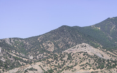 majestic mountains covered with greenery