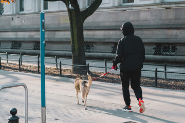 Man in a black jacket and hoodie walk with dog along the street. Red leash. Walking. Outdoor. City....