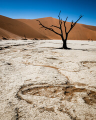 Dead vlei desert in namibia