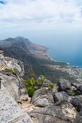view from the top of the table mountain