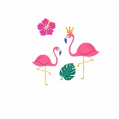flamingo birds