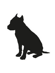 Black dog silhouette. Sitting american staffordshire terrier puppy. Pet animals. Isolated on a white background.
