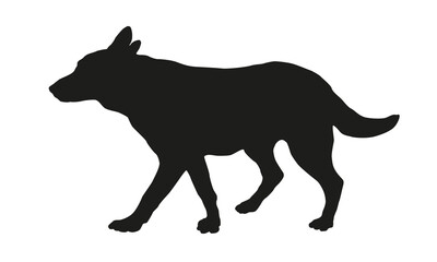 Walking german shepherd dog puppy. Black dog silhouette. Pet animals. Isolated on a white background.