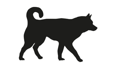Walking siberian husky. Black dog silhouette. Pet animals. Isolated on a white background.