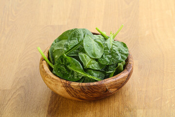 Fresh green spinach leaves in the bowl