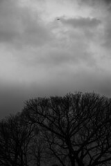 storm clouds lapse