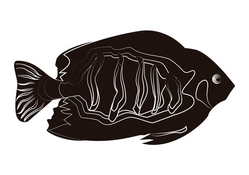 recommend clip art: Icono negro de un pez en fondo blanco.
