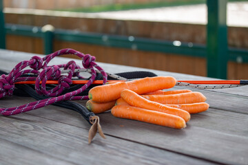 Carrots for the horse and carrot stick. Natural equestrian equipment. A rope, a halter for...