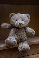 teddy bear on wooden table