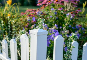 White fence post surrounds colorful flowers in early morning light - 449740106