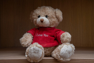 teddy bear with red heart