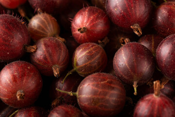 red gooseberry fruits close-up, background, macro photo