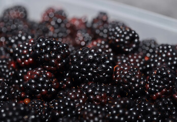 Close up of blackberry