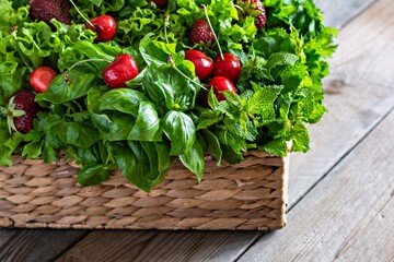 Fresh various fragrant herbs with cherries and strawberries in a wicker basket on a wooden background. Healthy food concept. Summer garden harvest.