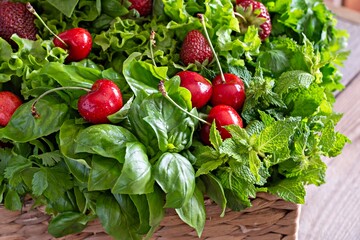 Fresh various fragrant herbs with cherries and strawberries in a wicker basket on a wooden background. Healthy food concept. Summer garden harvest.