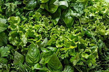 A bouquet of various garden aromatic herbs, herbs and spices in a wicker basket for cooking, aromatherapy.