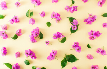 Creative layout made of purple flowers and leaves. Nature concept.