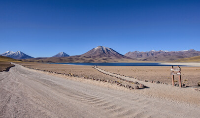 Entry to Lake Miscanti on the altiplano, Atacama Desert, Chile