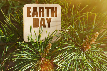 Among the pine branches is a sign with the inscription - earth day