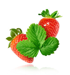 Fresh raw ripe strawberry with green leaves falling in the air, food levitation