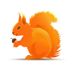 Realistic vector Illustration of squirrel with acorn 
