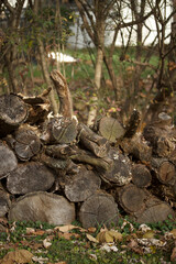 A Small Woodpile