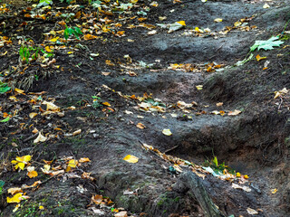 Earthen steps closeup