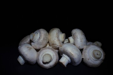 a pile of mushrooms lying on a black background