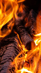 Burning firewood in the fireplace close up. - 449749152