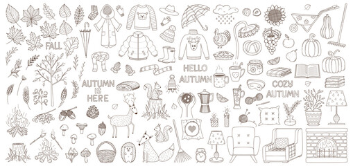 A set of decorative elements. Autumn, cozy home, hugge. Clothing, crops, animals, interior, cozy. Design collection of outline doodles. Black and white vector illustration. Isolated on white.