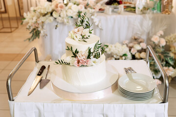 The wedding cake. White, two-tiered, decorated with flowers and gold. On a delicate pink background. Side view, top.