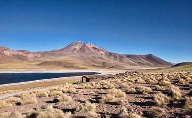 Lone hut on Lake Miscanti on the altiplano, Atacama Desert, Chile