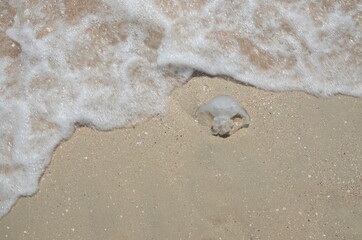 beach, sand, sea, water, ocean, wave, summer, coast, footprint, nature, shore, waves, vacation, holiday, footprints, surf, travel, sun, sky, foot, tropical, nobody, footsteps, coastline, landscape
