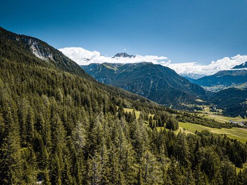 Droneshot above forest in Swiss mountains (Lenzerheide)