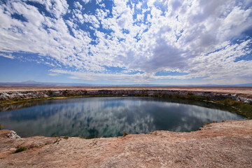 Ojos de Salar freshwater pool in the desert, San Pedro de Atacama, Chile
