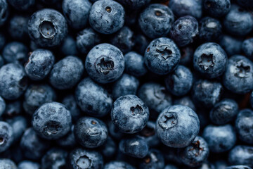 Freshly picked blueberries. Close up view of ripe tasty wet blueberries