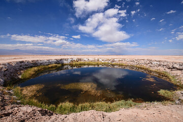 Fototapeta na wymiar Ojos de Salar freshwater pool in the desert, San Pedro de Atacama, Chile