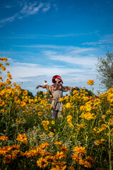 A funny scarecrow in the garden full of blooming orange flowers. Sunny, summer day. 