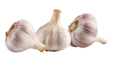 Garlics isolated on white background