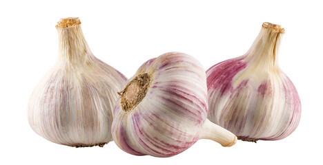 Garlics isolated on white background