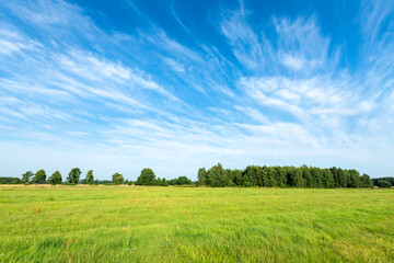 Beautiful summer day over green fields against blue cloudy sky